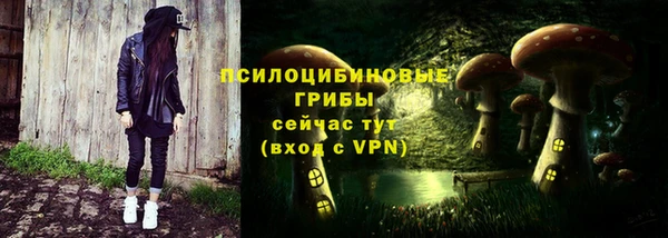 гидра Алзамай